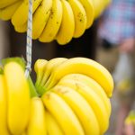 Lire la suite à propos de l’article La banane ça vous gagne