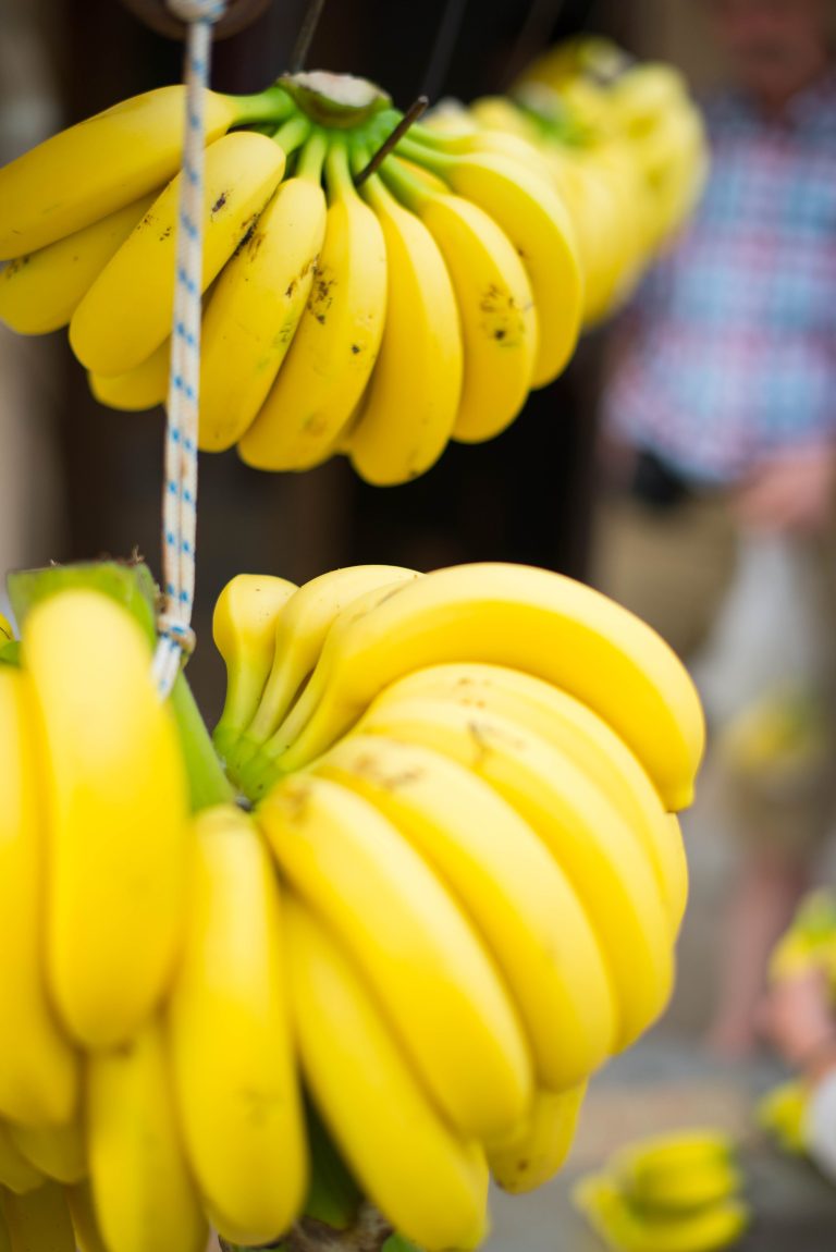 Lire la suite à propos de l’article La banane ça vous gagne