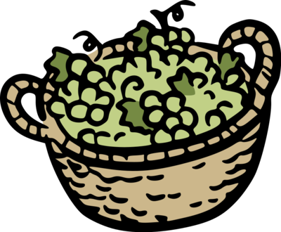 log fructidor -panier fruits