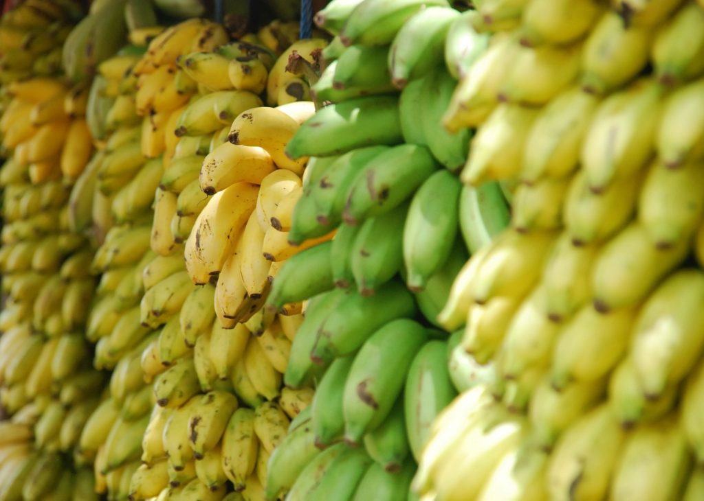 étale de bananes