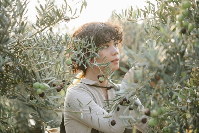 Lire la suite à propos de l’article Olives et Lise