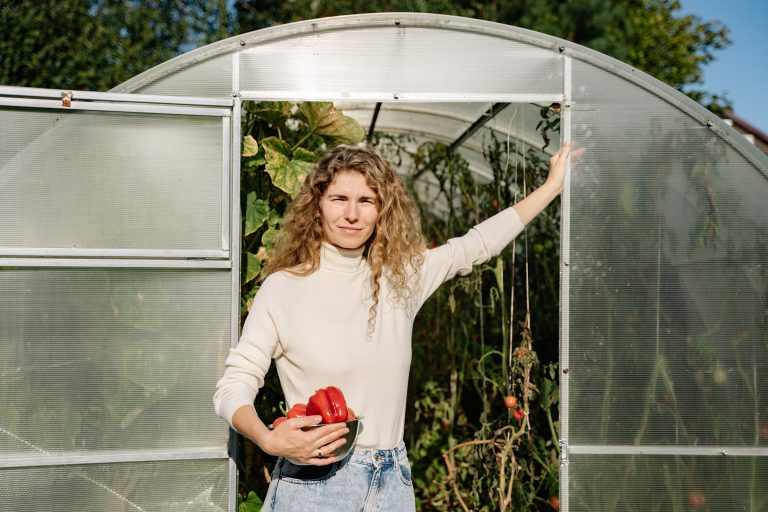 Lire la suite à propos de l’article Retour aux sources : Permaculture !