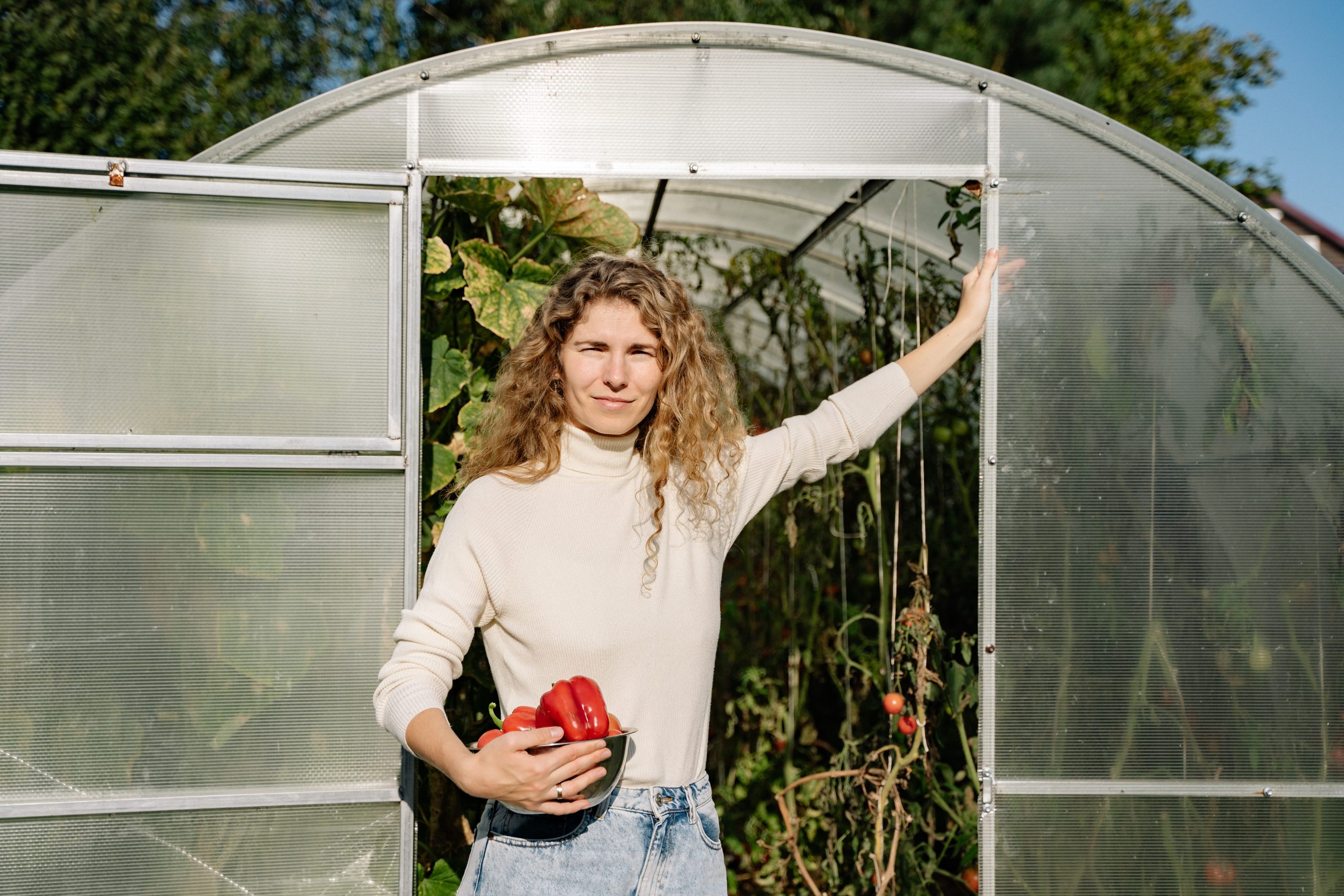 You are currently viewing Retour aux sources : Permaculture !